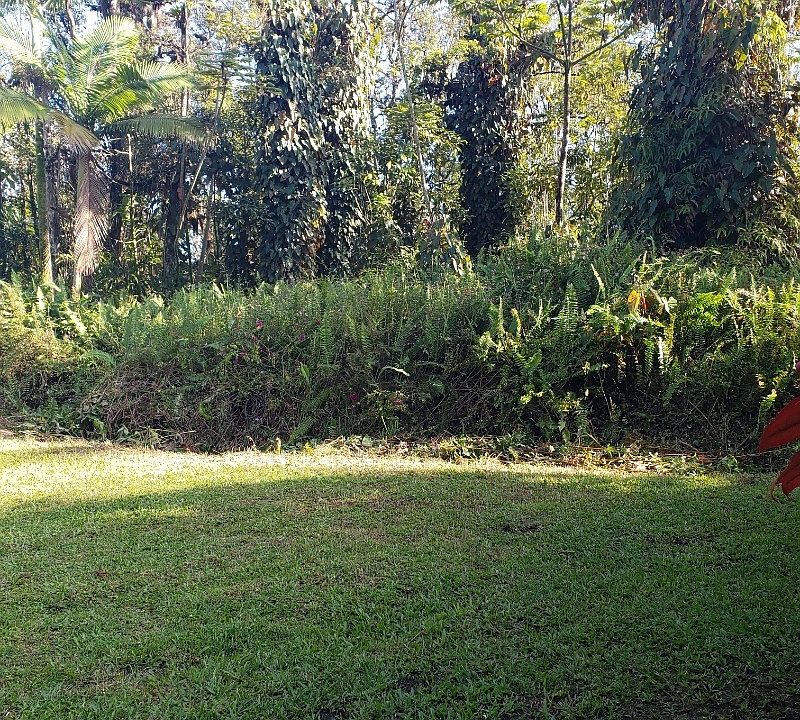 1st image of Hapuu St Lot 35