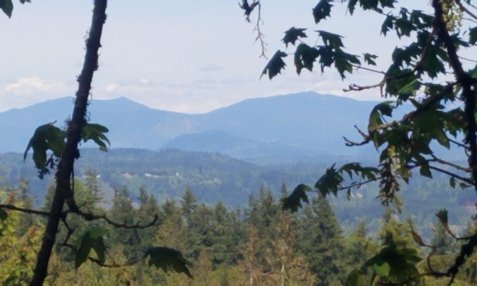 Valley view from property