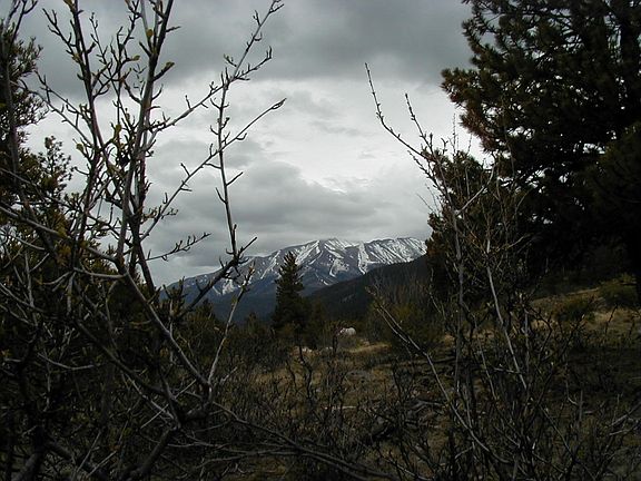 4th image of 30114 Eagles Ridge