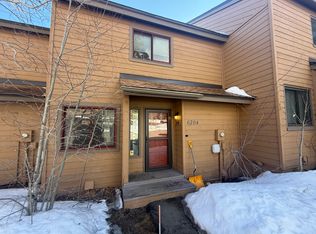 6704 Ryan Gulch Rd, Silverthorne, CO 80498