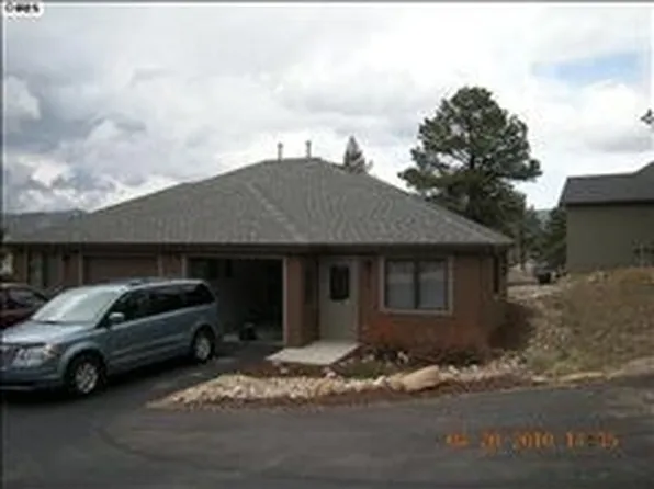 454 Stanley Ave, Estes Park, CO 80517