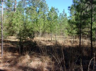 5471 Hadley Ferry Rd, Cairo, GA 39828