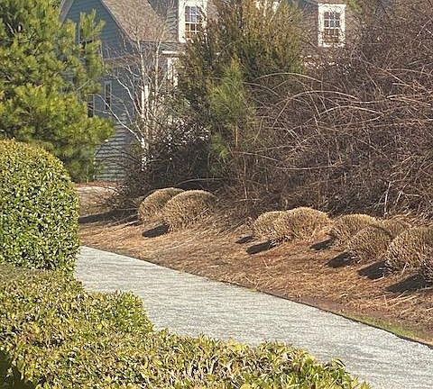 Winter view of walking trail in back of carriage house.