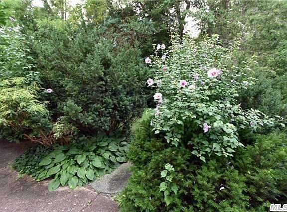 5th image of 26 Malden Cir