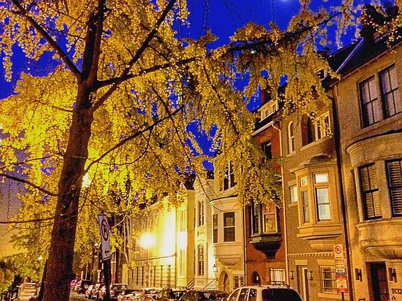 Corcoran Street at night