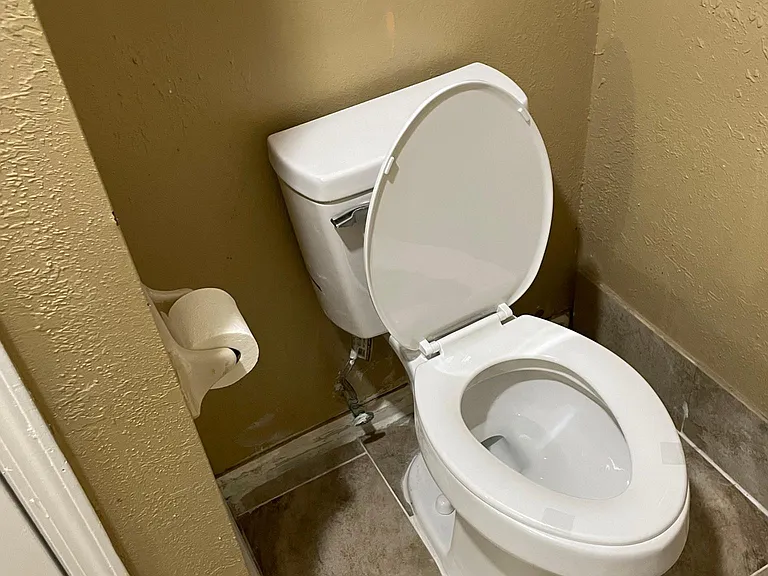 Brand new toilet and tiles