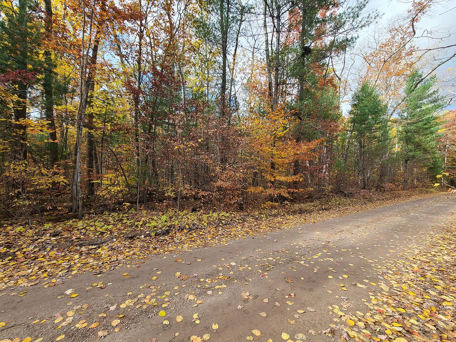 E Grand Blvd, Topinabee, MI 49791 Zillow