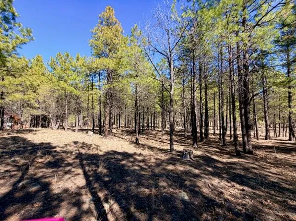 1865 Pine Canyon Dr, Happy Jack, AZ 86024