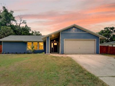 25302 Glen Eagles St, Mount Plymouth, FL, 32776