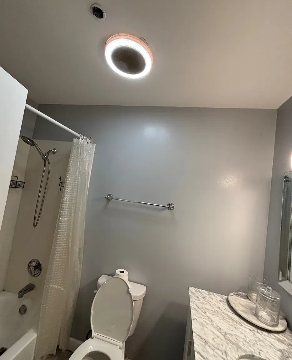 1 bed, 734 sqft, $1,975 — Photo 2
