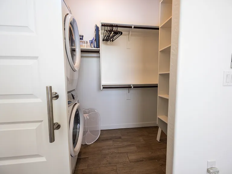 Walk-in Laundry and Closet