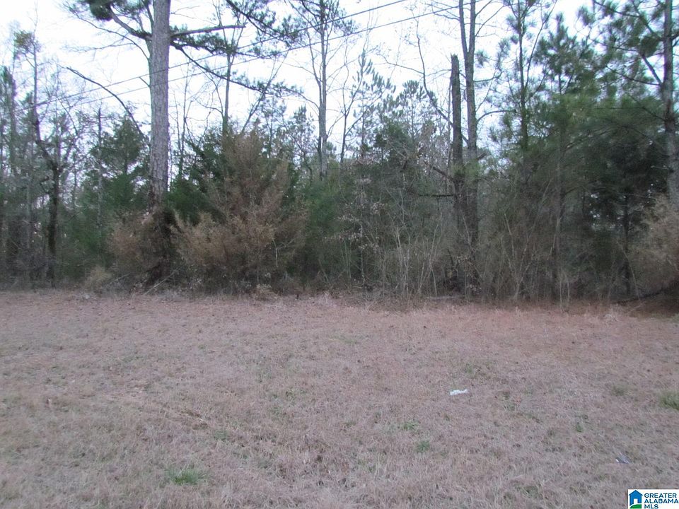2nd image of 0 Highway 87 #1