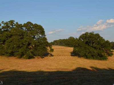 28 Middle Fork Ln, Carnesville, GA, 30521