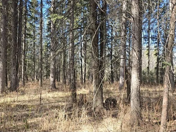 106 4th St E, Wetaskiwin County No. 10, AB T0C 2X0
