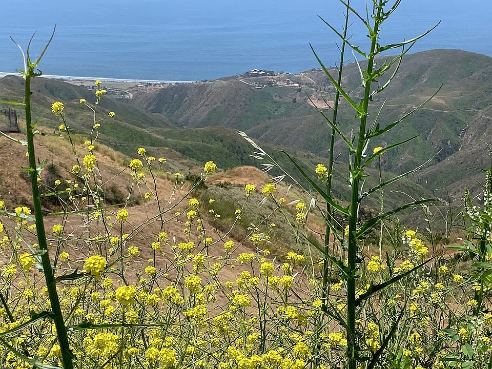 1st image of 430 Encinal Canyon Rd
