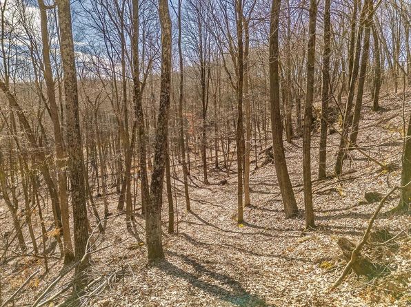 50.01 Acres County K & Dore Road, Lyndon Station, WI 53944