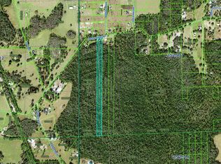 0 Green Pond Rd #1, Polk City, FL 33868