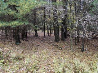 LOT 91 Arrowhead Dr, Newfoundland, PA 18445