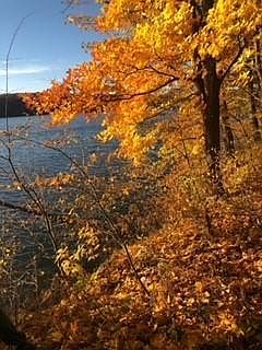 1st image of LOT 29 Deer Lake Lane