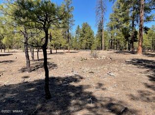 2760 Havenwood Cir, Overgaard, AZ 85933