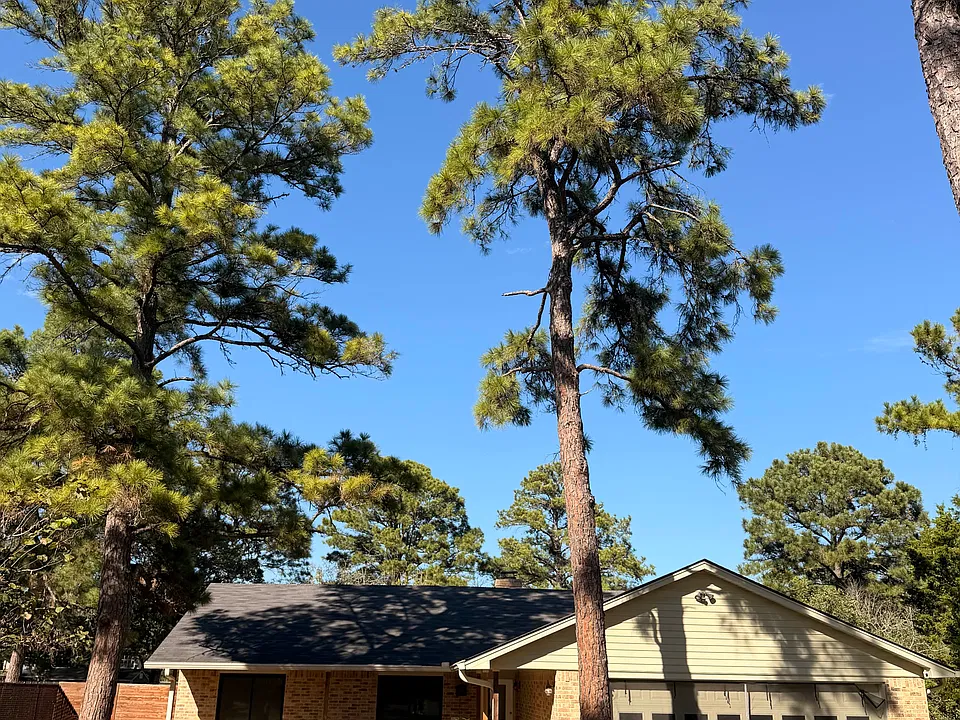 114 Akala Ln