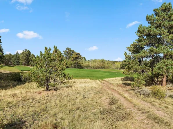 TBD Juniper Ct, Red Feather Lakes, CO 80545