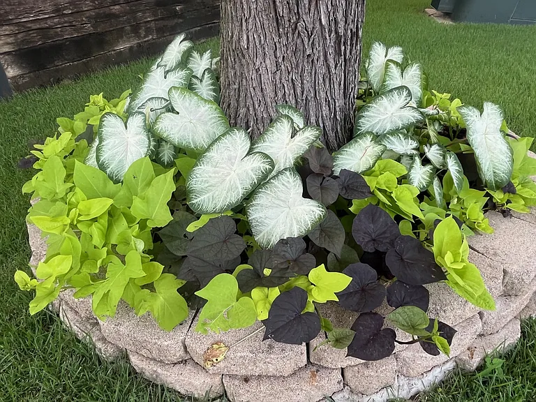 Waterford Green — Photo 23