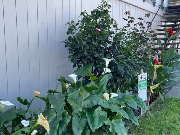 3830 Barker Dr, San Jose, CA