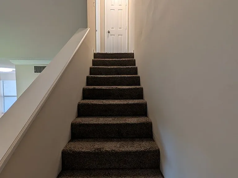 8538 Pineverde Ln — Photo 9