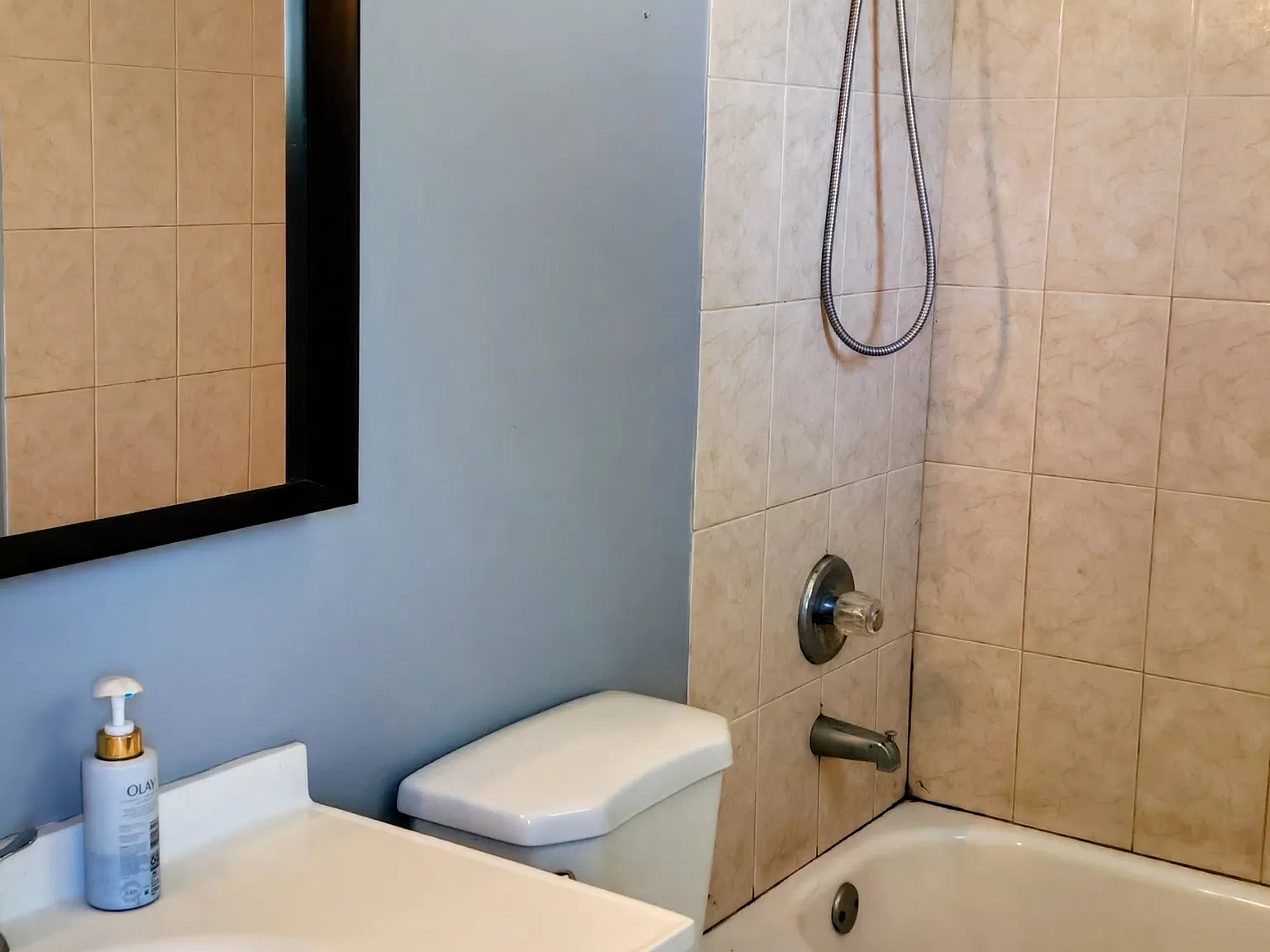 2 bed, 1025 sqft, $1,600 — Photo 3