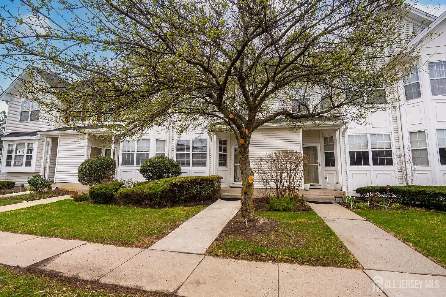 1503 Blossom Cir photo 1