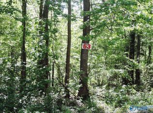 63 Timberline Cir, Jasper, AL 35504