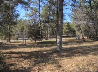1207 McArthur St, Newcastle, WY 82701