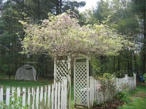 3rd image of 16 Sherwood Ln