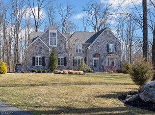 7 Runyan Pl, Chester, NJ 07930