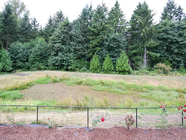 4721 Joppa St SW — Photo 38