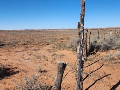 Acr 5152, Concho, AZ, 85924