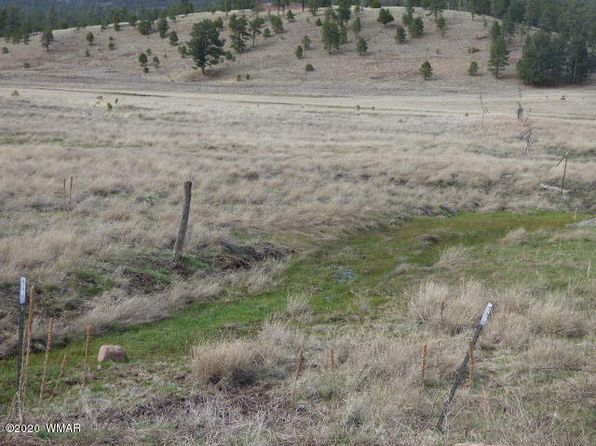 LOT-21A The Rnch #AT, Alpine, AZ 85920