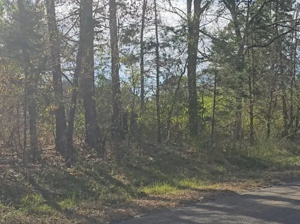 10484 County Road 384, Tyler, TX 75708