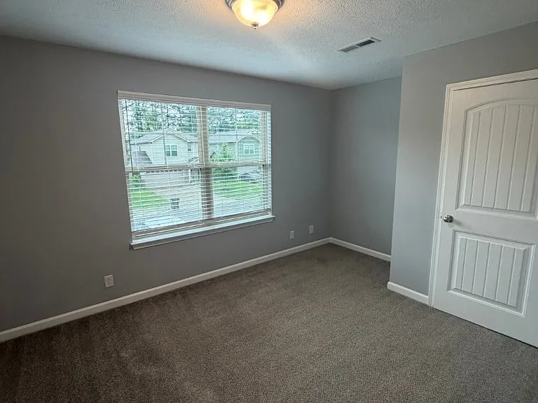 4310 Brogli Dr — Photo 21