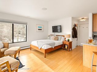725 E Main St #302, Aspen, CO 81611