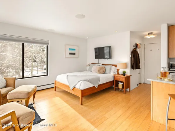 725 E Main St #302, Aspen, CO 81611