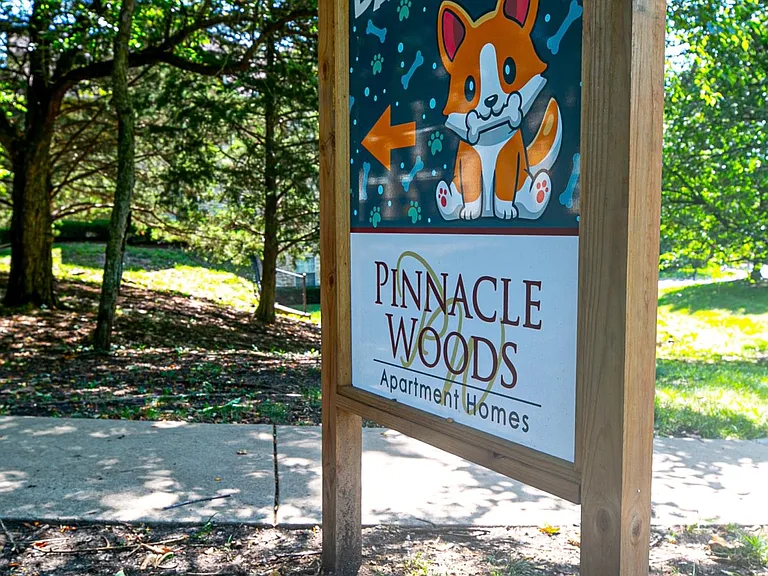 Pinnacle Woods — Photo 12