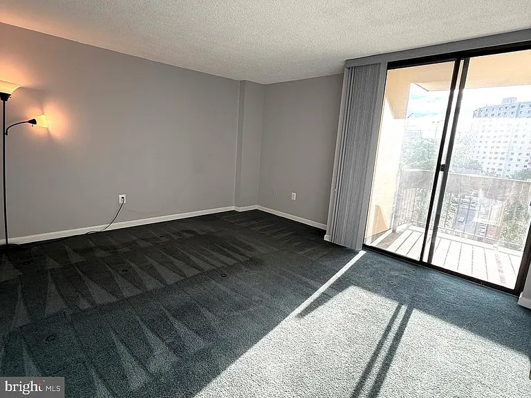 5300 Holmes Run Pkwy #819 — Photo 14
