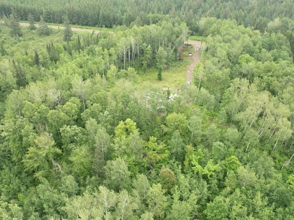 Xxx Kestrel Ave, Tamarack, MN 55787