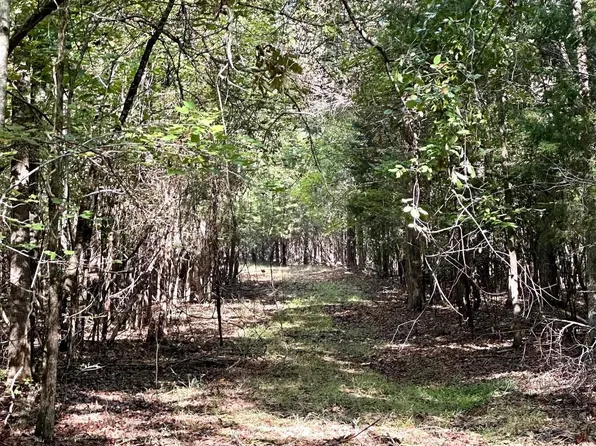 0 Terrapin Rd, Union, SC 29379