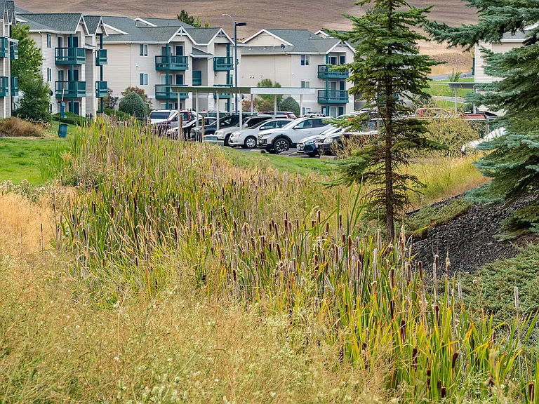 Lots of Open Green Space