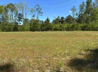 TBD Choppee Rd., Hemingway, SC 29554