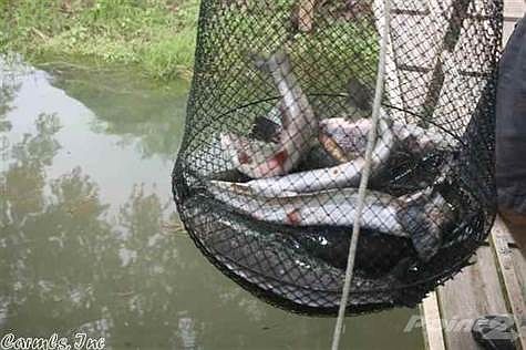 Deep water, great fishing.