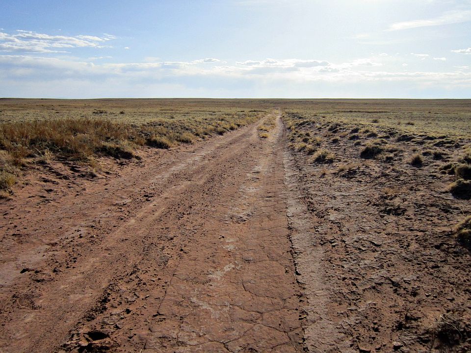 1st image of Wild Horse